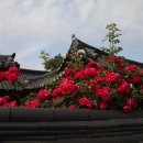 전서로(풍천면) 이미지