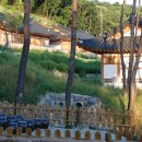 속리산알프스야영장 이미지