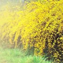 불당동물병원 이미지