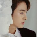 더비(The B) 네이버블로그