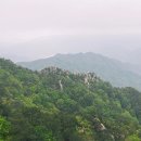 중앙만물상
