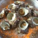 가파도상동민박 이미지