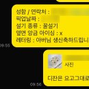 현떡케이크
