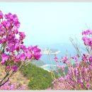 진주초교 이미지