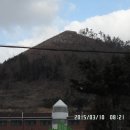 완도중학교 정문 이미지