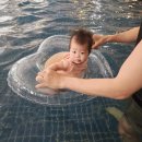 8개월 아기 발달 : 배밀이, 잡고 서기, 이갈이, 몸무게 정체 + 여행 기록, 육아일기
