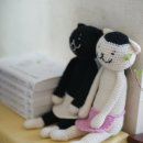 주)조은세상 이미지