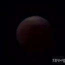 레드문광고