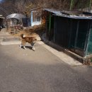 거북산 등산로 입구 티스토리