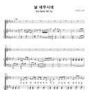 [nwc, mp3] 날 세우시네 (원제 : You raise me up) 이미지