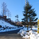 차동목장 | [강원도 평창여행] 잠만 자고 가기엔 너무나 아쉬운 '숲속의요정'