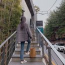 바이 윤 이미지