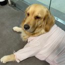 GR(부여군)-[구룡로]-하-2 | 240731