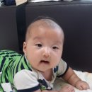 김준식 Daum카페