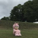 예항맥외과 이미지