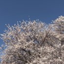 5128 | [내돈내산] 부산 남포동 신상 카페 파페코 후기 및 리뷰 / 키티 쿠키 / 데이트 코스 추천 / 느좋 카페