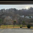 숲속의 하얀펜션 이미지