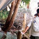 거전농장 이미지