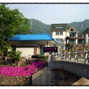 고북벨리 이미지