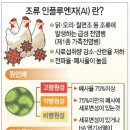 기동농장 이미지