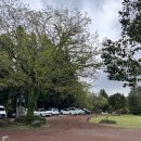 하우스 말로 | 🏡제주 동쪽 초록초록 힐링 펜션 하우스말로