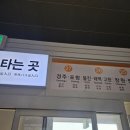 영일대약국 | 부산에서 포항 죽도시장, 영일대해수욕장 대중교통 이용 후기) 부산노포토동터미널에서 포항터미널 소요...