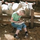 봄햄농장 이미지