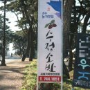 수정소반 이미지