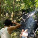 부산어린이대공원 이미지