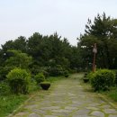 중앙닭집식당 이미지