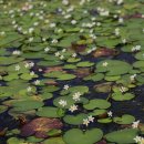 국화저수지 이미지