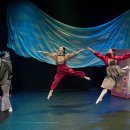 세계로안경 이미지