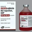 시지W동물의료센터 이미지