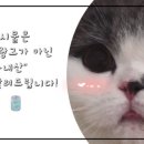 아싸비어경포대점 이미지