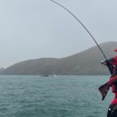 신신민박 이미지