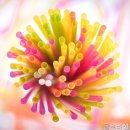 글로비성형외과의원