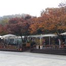 테라스커피숍 이미지