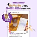 [싱글룸 환경정보] 강아지랑 갈만한 곳, 우리 멍멍이랑 카페 갈 수 있을까? 애견 동반 가능 지점...