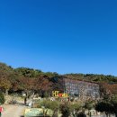 917 | 광주 근교 대형 카페 장성 루몽드917 아이들과 함께한 후기