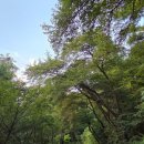 남산가는길(야경)코스 이미지