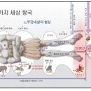 2024년 다니엘서 강해 (06), 느부갓네살 형상의 꿈 해석: 이방인들의 때 : 정동수 목사, 사랑침례교회 이미지