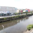 서부두 명품회집거리 이미지