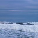 동해안연안녹색길 이미지