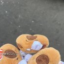 대굴대굴식당
