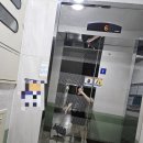스텔라떡볶이 경북경산중산점 이미지