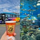 남부 | 오키나와 날씨 4월 옷차림 오키나와 남부투어 후기