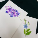 수채화 캘리그라피 이미지