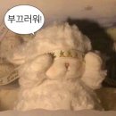 오창 수선집 옷수선, 옷리폼 오계절옷수선집 후기