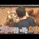 호양농장 이미지