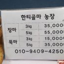 한티골마 이미지